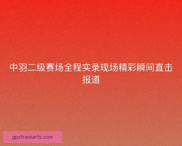 中羽二级赛场全程实录现场精彩瞬间直击报道